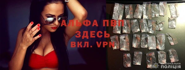 бошки Весьегонск