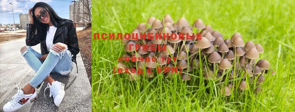 бошки Весьегонск