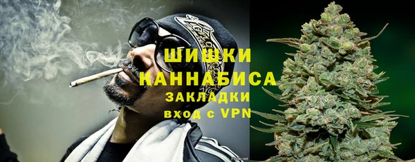 гидра Саяногорск