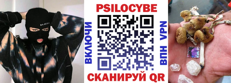 Купить где  Канск  Галлюциногенные грибы Psilocybine cubensis 